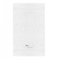 Serviette personnalisée au prénom du bébé avec avion
